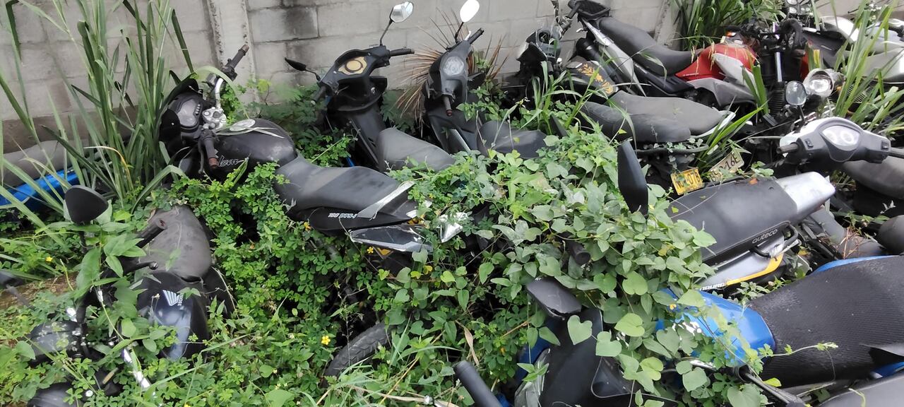 Patio del Tránsito de Cali