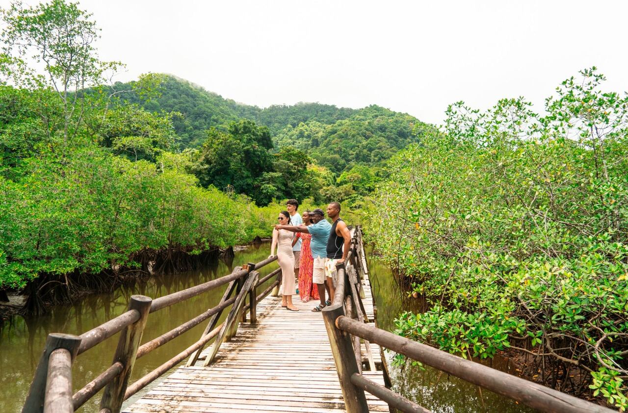 En la región Pacífica se han aprobado 38 proyectos de inversión turística que han beneficiado a 88 municipios de los departamentos de Cauca, Chocó, Nariño y Valle del Cauca, con una inversión total de $75.028 millones.
Foto: Mincomercio
