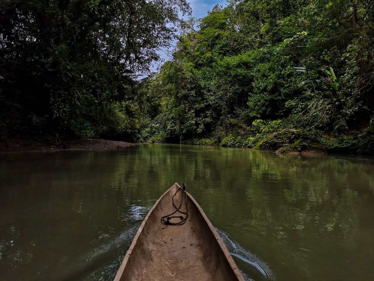El municipio de Nuquí, en el Chocó, está bañado por diez ríos. Uno de estos afluentes es el Joví, que entrega sus aguas directamente al mar Pacífico. En dicha región hay varios parajes biodiversos para conocer.