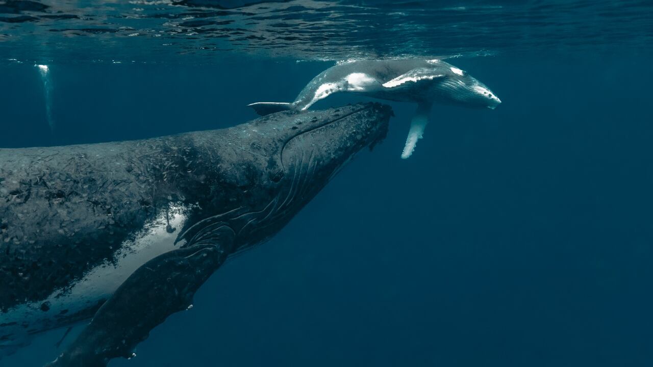 Guía de turismo para visitar el Valle.