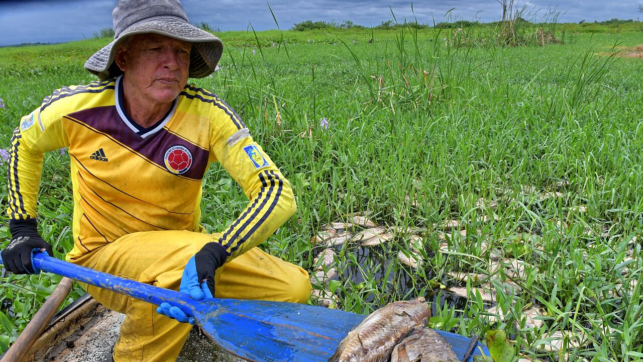Alerta en Yotoco: Muerte masiva de peces en la Laguna de Sonso Un desolador panorama ha impactado a los habitantes de Yotoco, donde recientemente se ha reportado la muerte de miles de peces en la Laguna de Sonso.