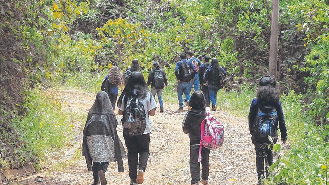Estudiantes en condición de discapacidad, ubicación geográfica o razones socioeconómicas complejas y matriculados en colegios que necesitan reubicación temporal son los que tienen el servicio de transporte.