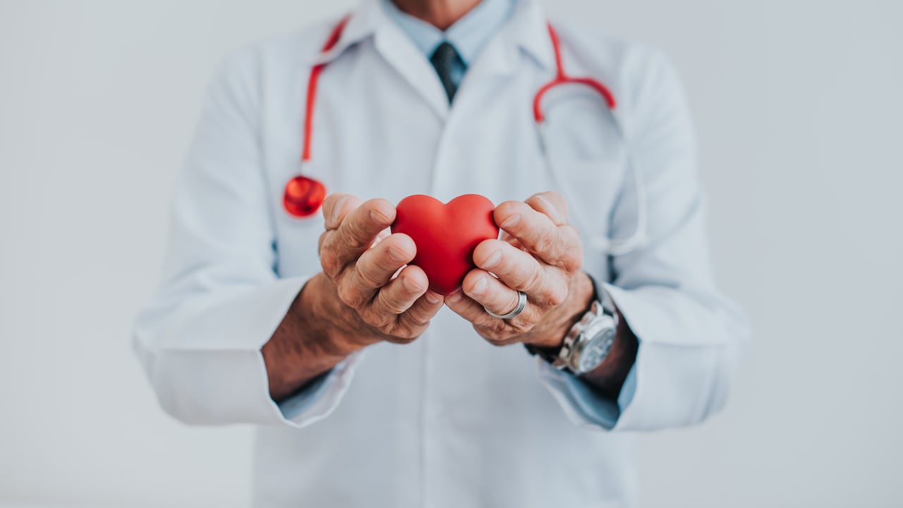 Portrait of a doctor holding a heart in his hands