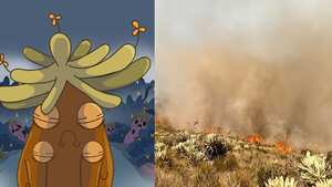 La popular caricatura, el Frailejón Ernesto Pérez, pidió cuidar los páramos y evitar las fogatas.