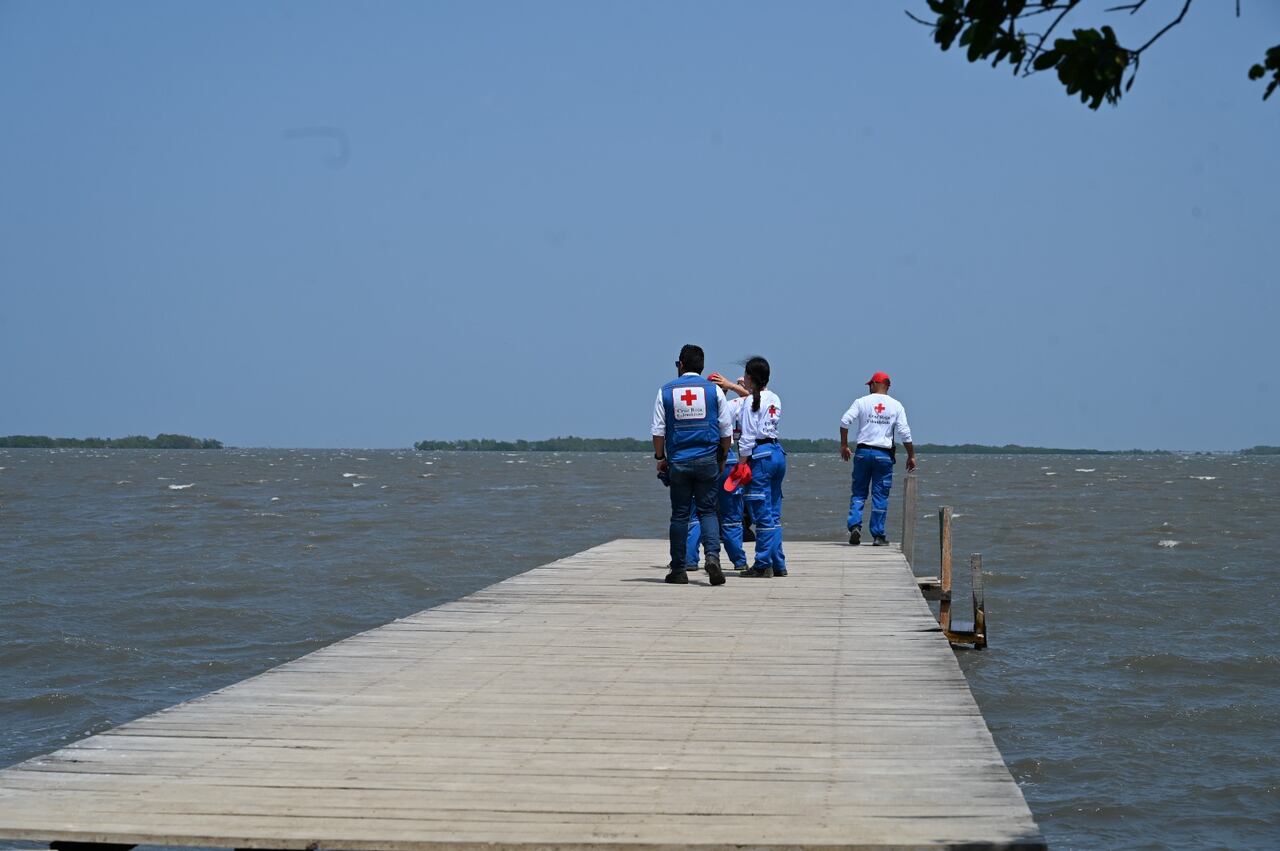 La protección de la biodiversidad es una de las apuestas actuales de la Cruz Roja.