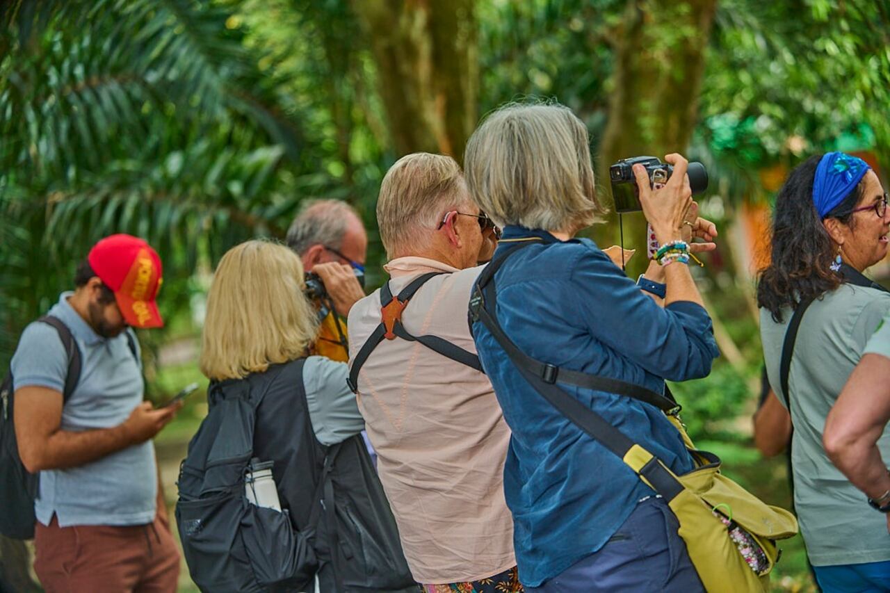 Después de ser certificada por la organización Bird City como ‘Ciudad de las aves’, Palmira participará en la tarde de este jueves 23 de octubre, en el Palacio de San Francisco, de la gobernación del Valle, del acto ‘Ciudad amiga de las aves’, para declarar y apoyar a municipios en la conservación de la avifauna, a través de formación y trabajo comunitario, acorde con la Ordenanza 517 de 2019. Foto: Alcaldía de Palmira / El País.