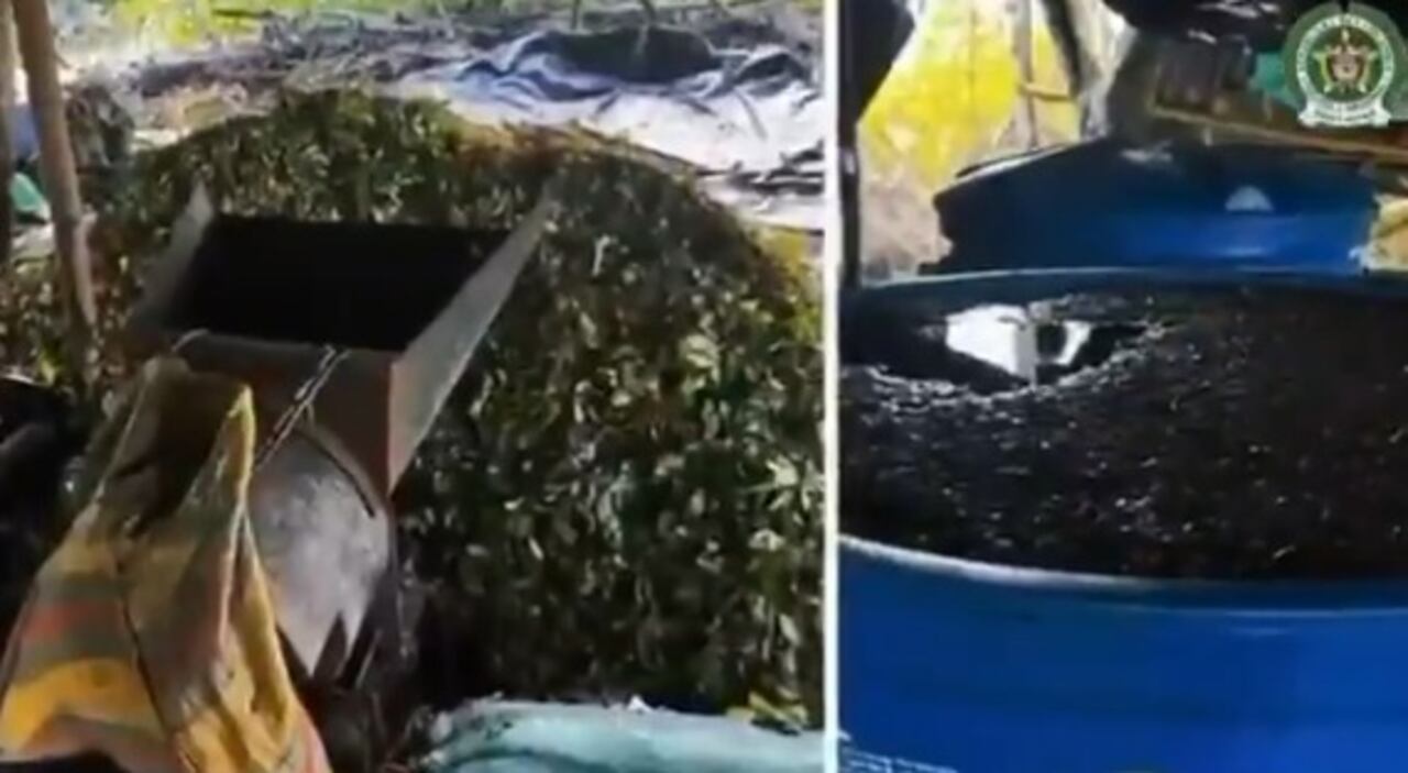 Autoridades inutilizan pista narco en Nariño: destruyen tonelada de insumos.