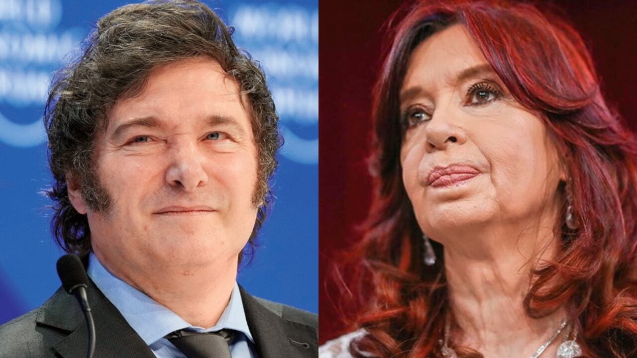 Javier Milei y Cristina Fernández