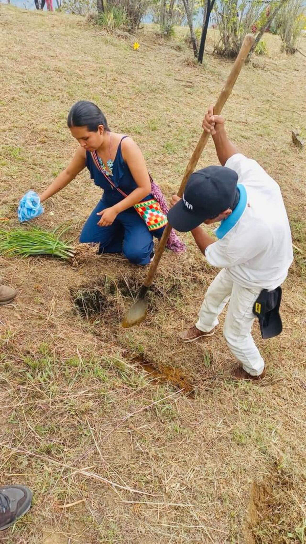 Daniela sembró un árbol en la fosa común donde estuvo enterrado su padre, en el Cauca.