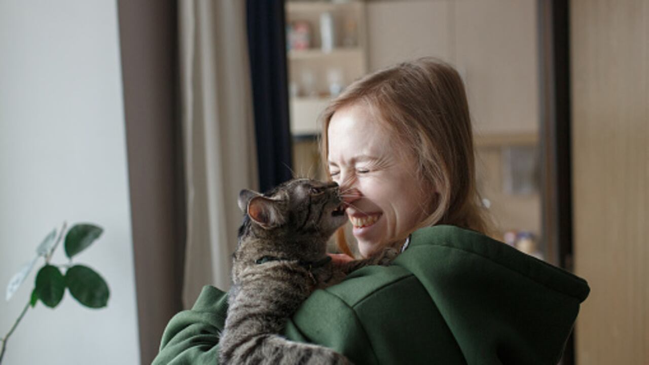 Trabajo en Canadá para cuidar gatos