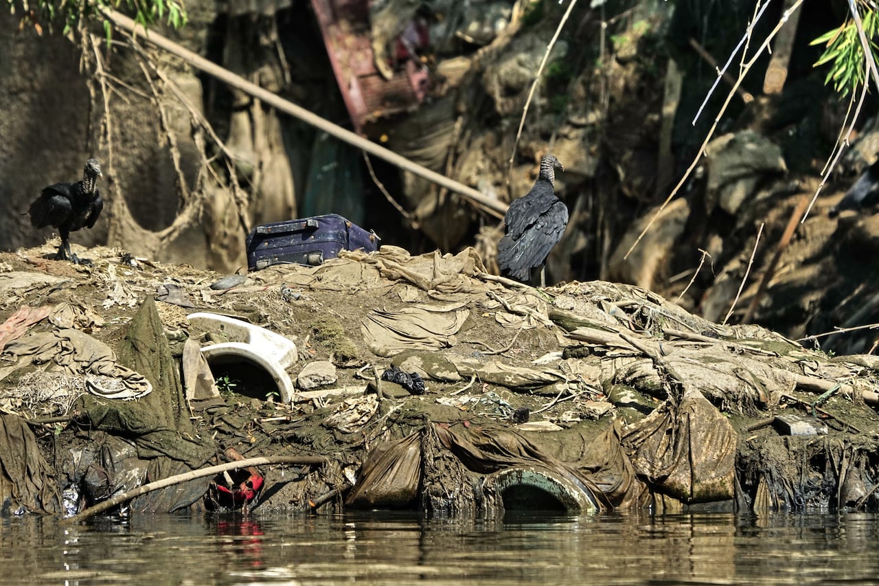 El rio Cauca, principal rio del Valle del Cauca y de donde Cali toma el agua para el consumo sufre gran contaminación al pasar por la ciudad. 30 agosto de 2024. Foto Jorge Orozco / El País.