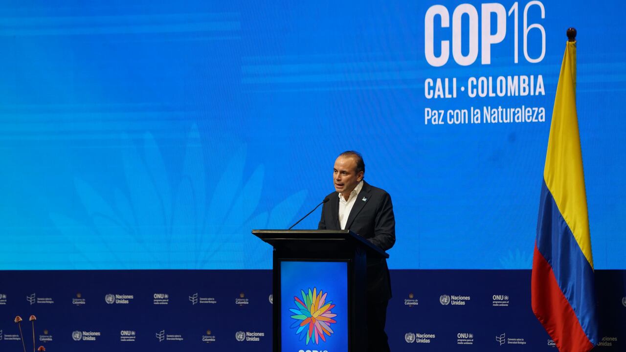 Inauguración Cop 16 Cali