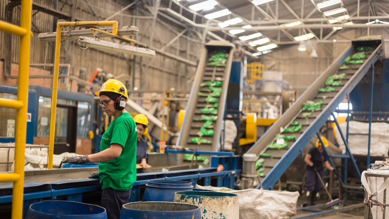 Trabajadores operan maquinaria en planta de clasificación.