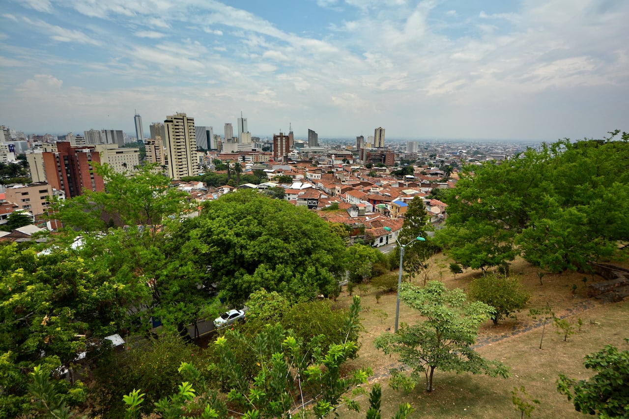 Cali cuenta con 30 bosques urbanos. Unos de los más emblemáticos son el de San Antonio y el Ingenio.