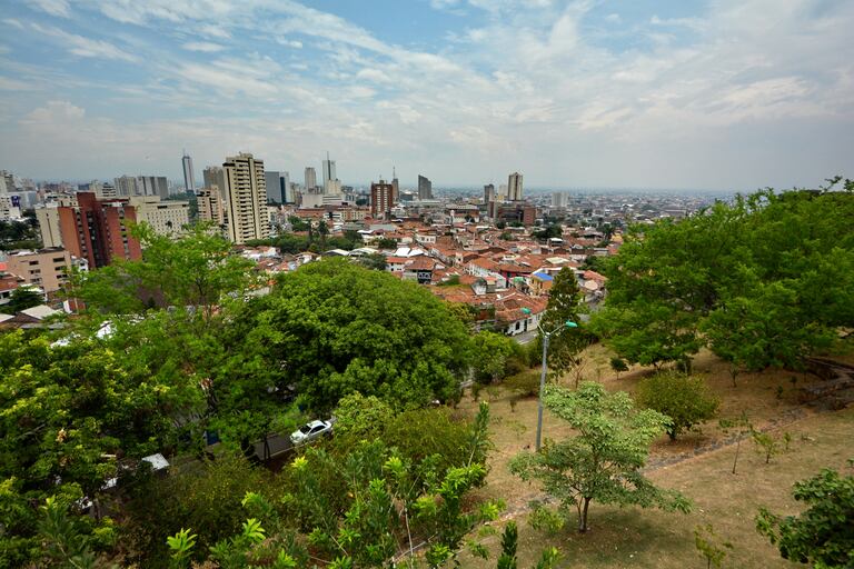 Cali cuenta con 30 bosques urbanos. Unos de los más emblemáticos son el de San Antonio y el Ingenio.