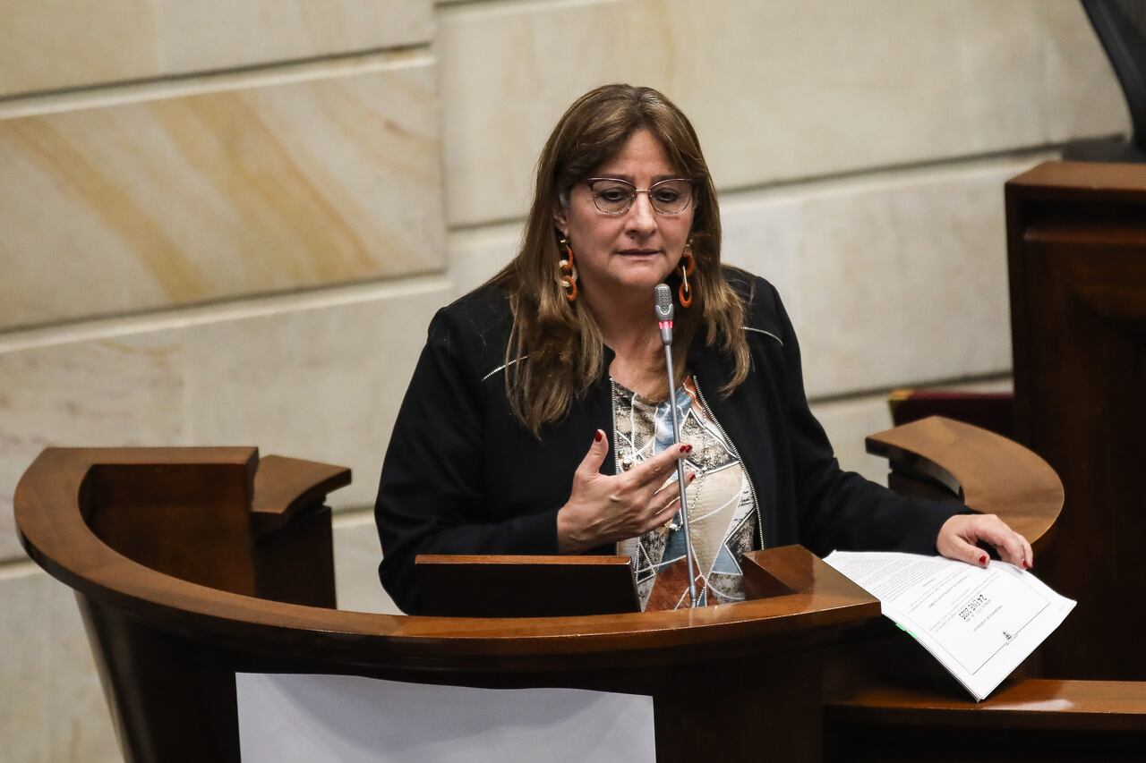 Sesión especial del Senado de la República, decreto de conmoción interior Catatumbo