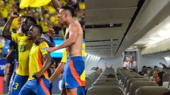 Hinchas colombianos celebraron el triunfo de la Selección Colombia en el aire tras anuncio del piloto.