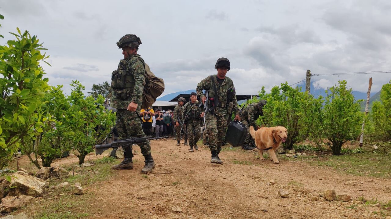 Luego de la liberación de los 28 policías y el militar, los pobladores del Cañón del Micay empezaron a expulsar a los demás militares del área urbana de El Plateado.