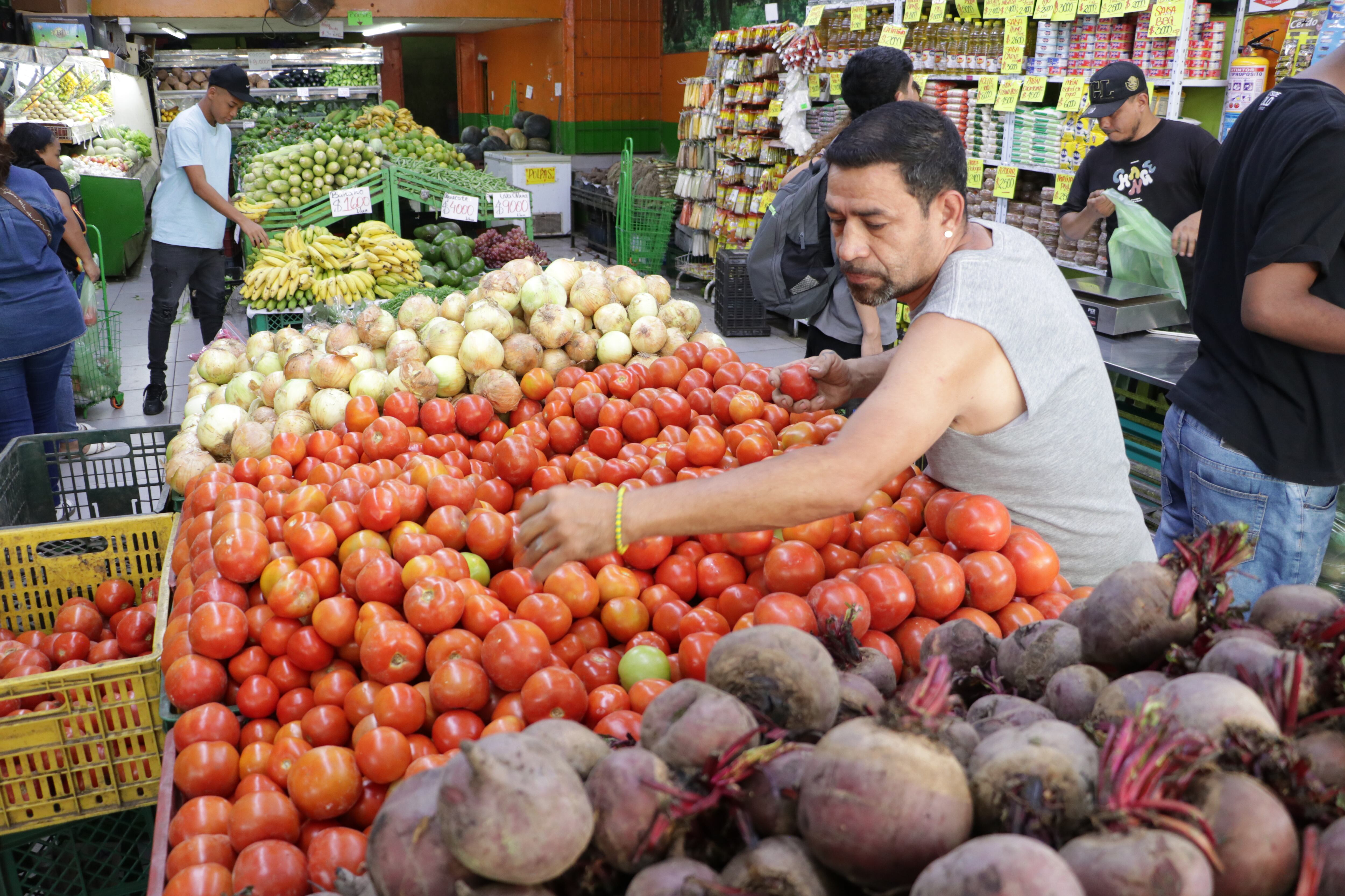 El tomate es uno de los productos que más ha bajado de precio.