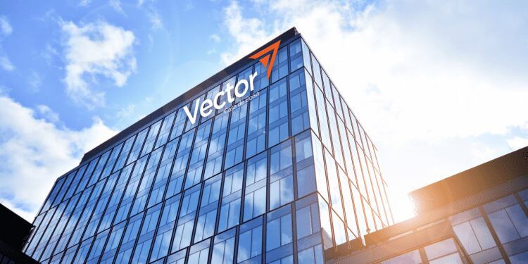 Vector Casa de Bolsa