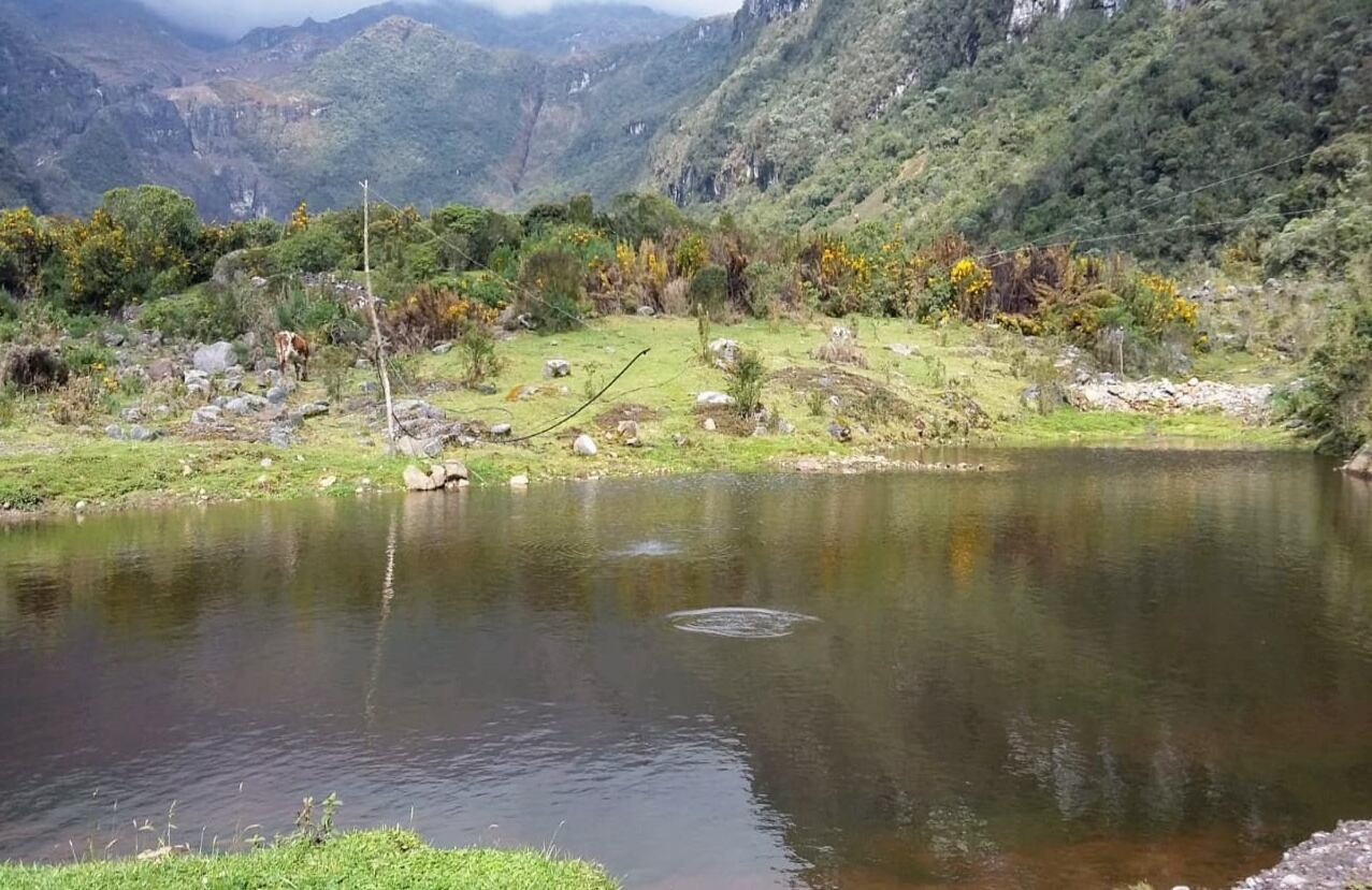 En este lugar se tiene la presencia de conejos de páramo, aves endémicas, pumas y venados que podrían correr espantados y desorientados por un fuerte ruido que es ajeno a su entorno