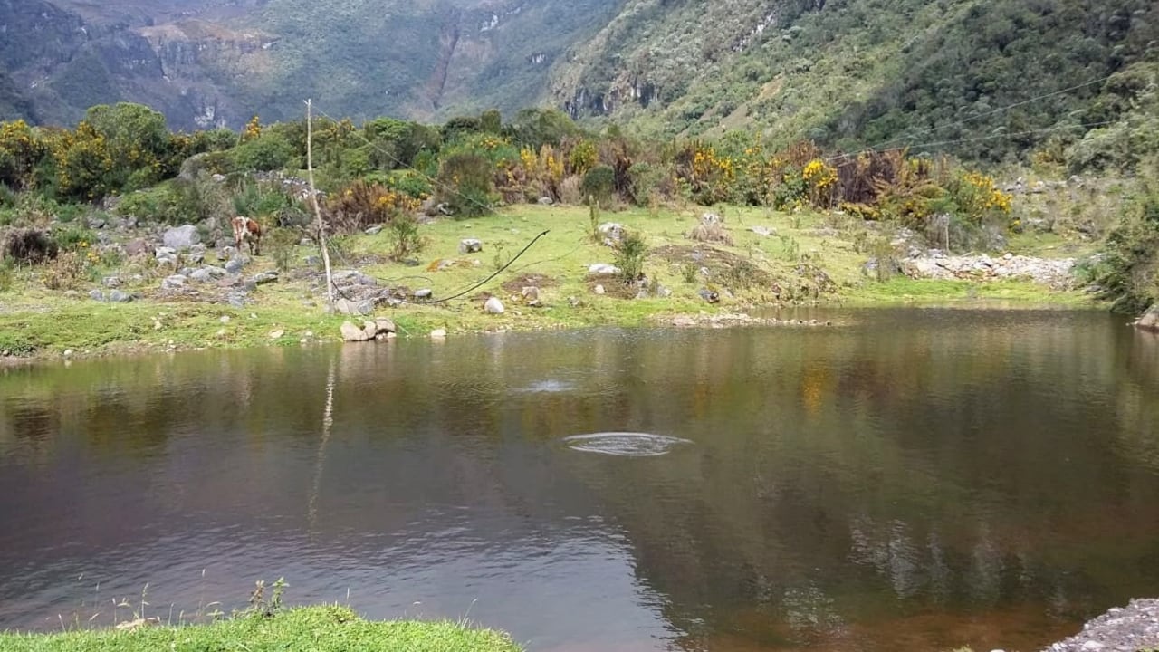 En Twitter @SergioSalazar10 publicó un video en el que se observa a un DJ poniendo música electrónica en un lugar llamado la Laguna Negra, que hace parte del Parque Nacional Natural Los Nevados.