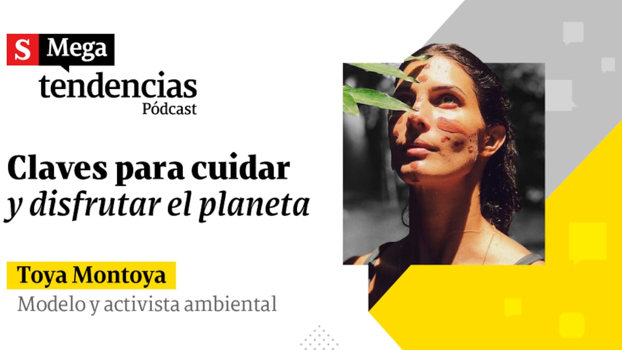 “Cada día el planeta pierde el equivalente a 57.600 canchas de fútbol”: “Toya” Montoya