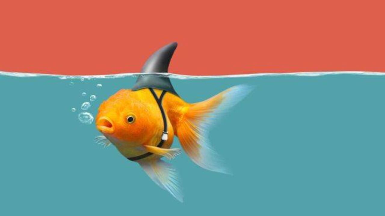 Getty Images Ideas hay muchas, lo que escasea son las buenas. E incluso cuando brotan, a menudo no las reconocemos.