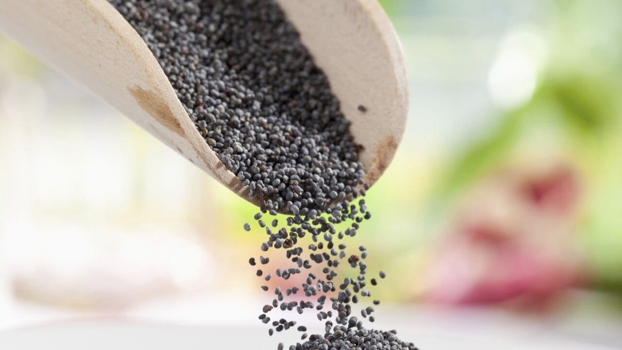 La semilla de amapola es un alimento que trae grandes beneficios para el organismo
