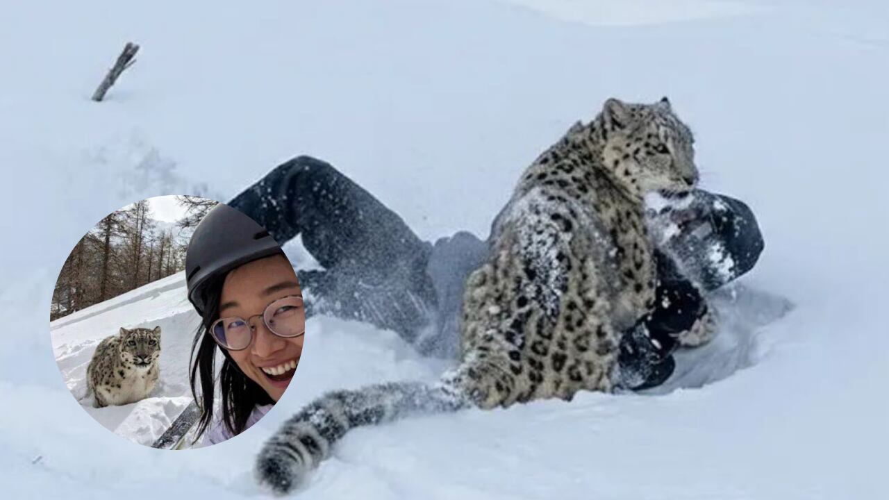 Un video viral muestra cómo una decisión imprudente cambió por completo el rumbo de un paseo en la nieve.