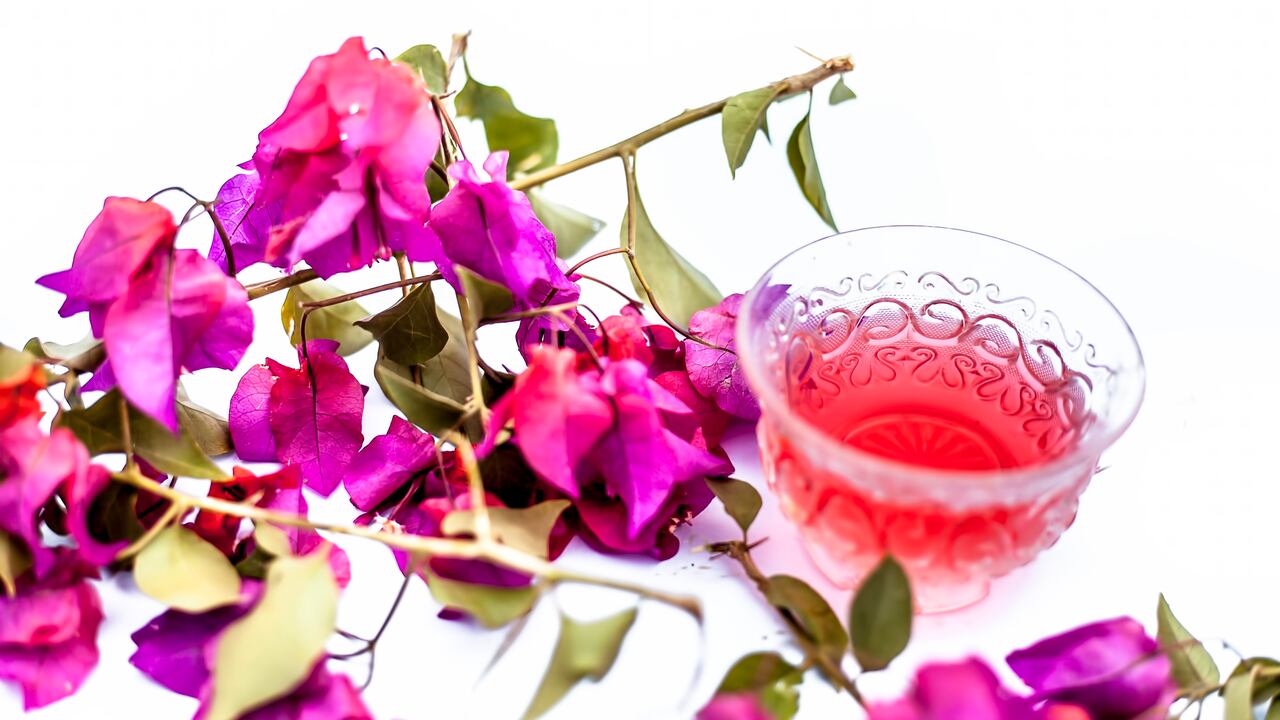 Una bebida con flores de bugambilia ofrece beneficios saludables al organismo.