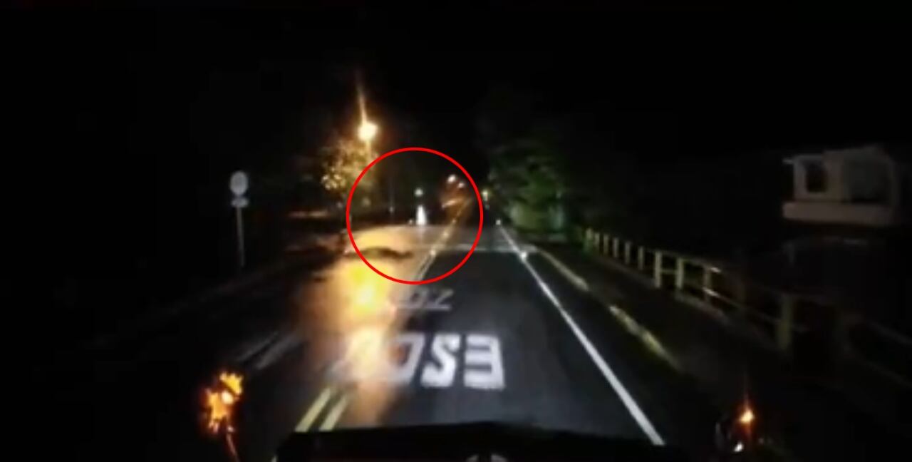 El video ha desatado varios comentarios.