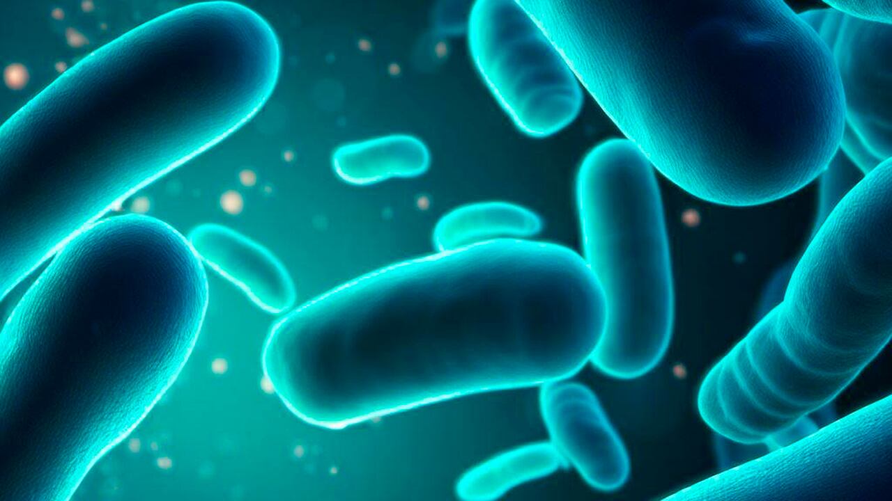 Científicos detectan un microbio antiguo que podría representar un peligro para el medioambiente.