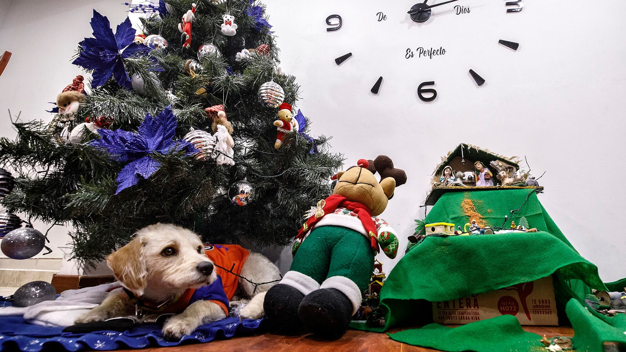 Julián David Mendoza y Justin.