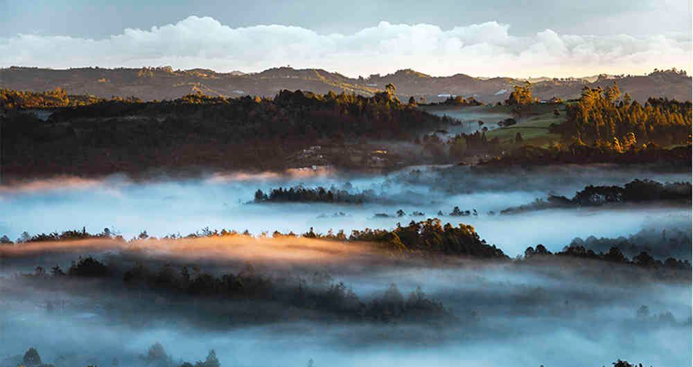 Piedad Bonnett y el aislamiento.