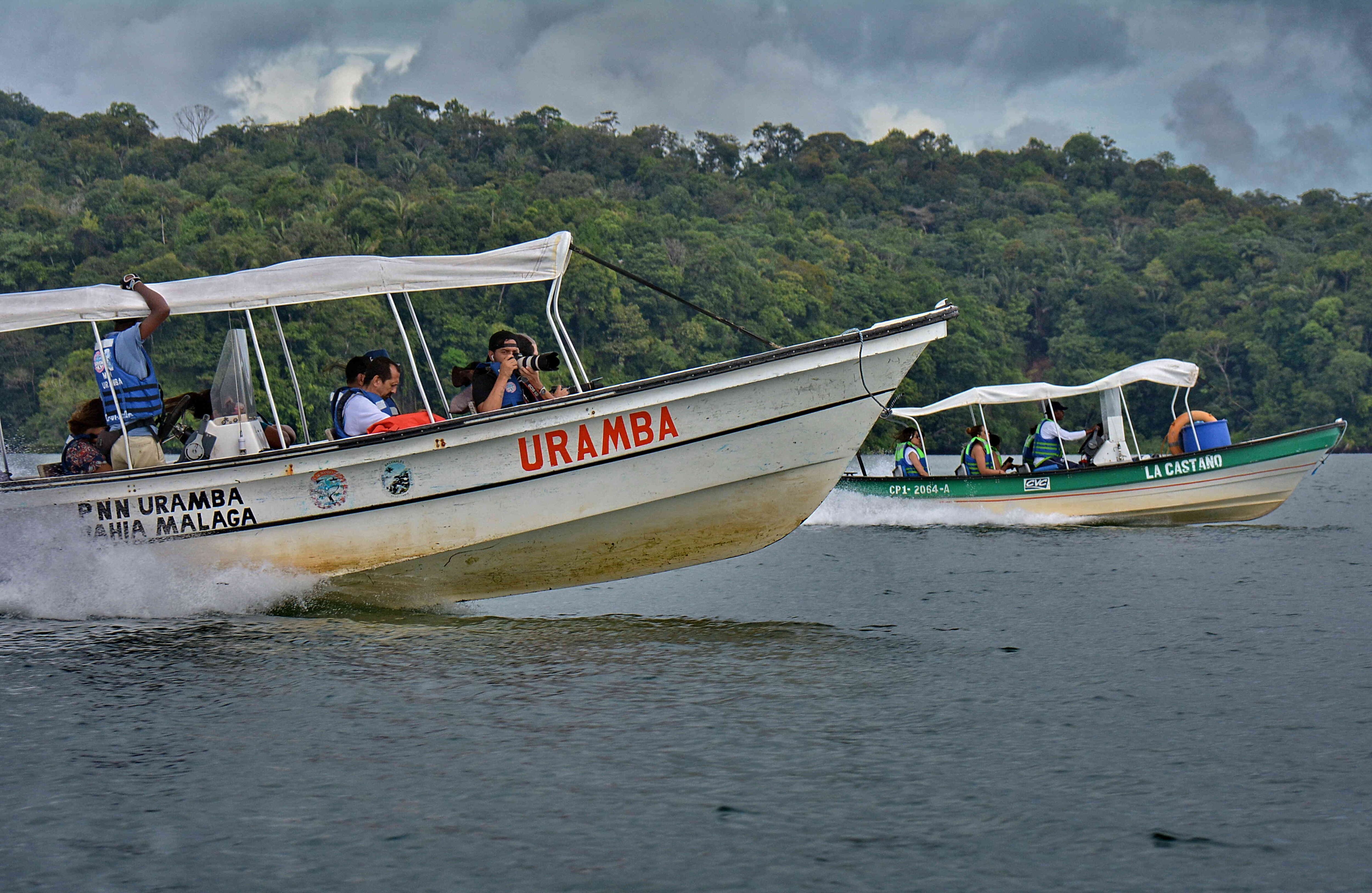 El espectáculo natural dinamizó la economía del turismo de los pueblos costeros de Valle y Chocó. 