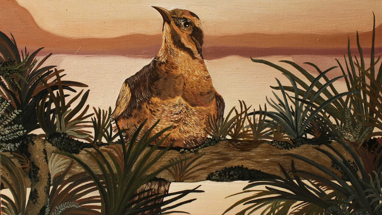 'Pajaro sobre un abeto'- Gabriela Pinilla.