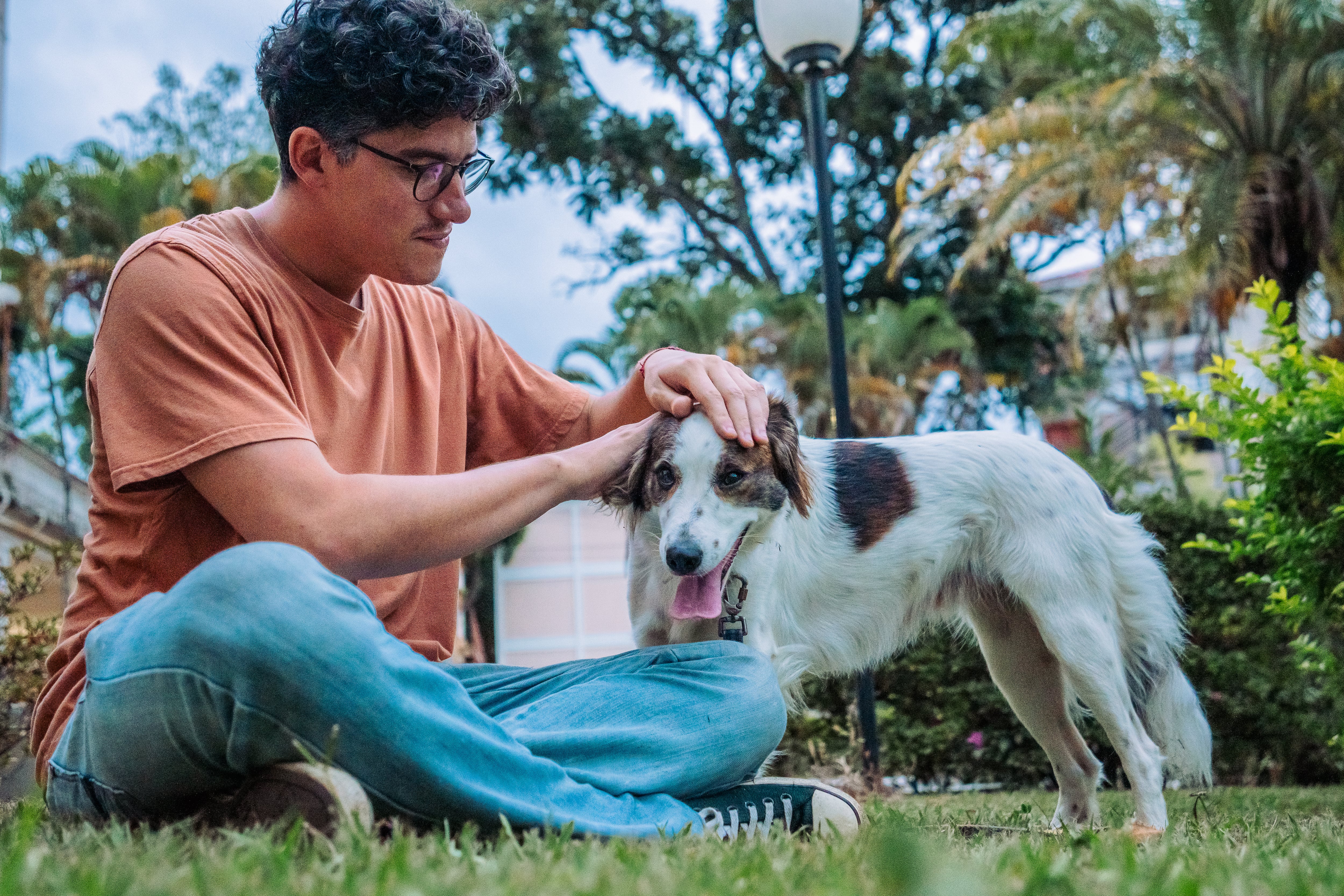 Joven acariciando a un perro