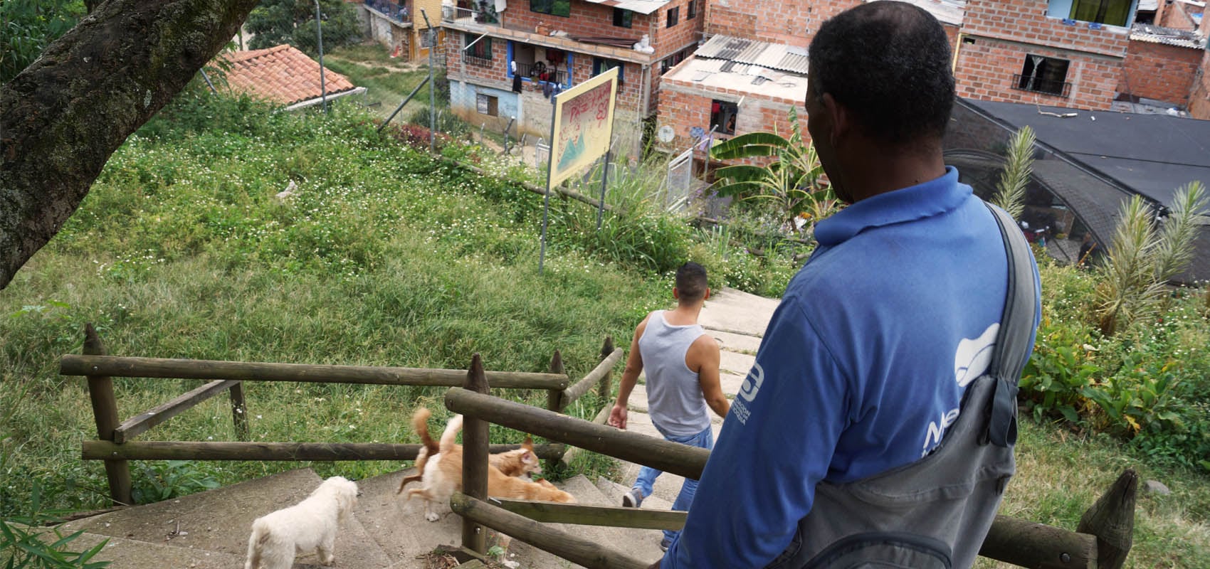 Lo que era una parada de los camiones de EPM hoy es un invernadero de plantas ornamentales entregado por Corjardin.com