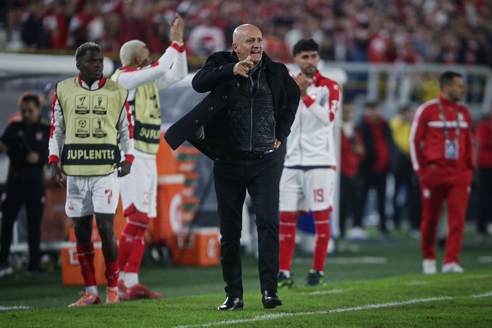 Pablo Repetto celebra el gol de Ewil Murillo.