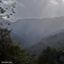 El Parque Nacional Natural Tatamá está ubicado entre los departamentos de Valle, Chocó y Risaralda.
