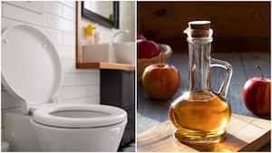 Vinagre de manzana para limpiar el baño.