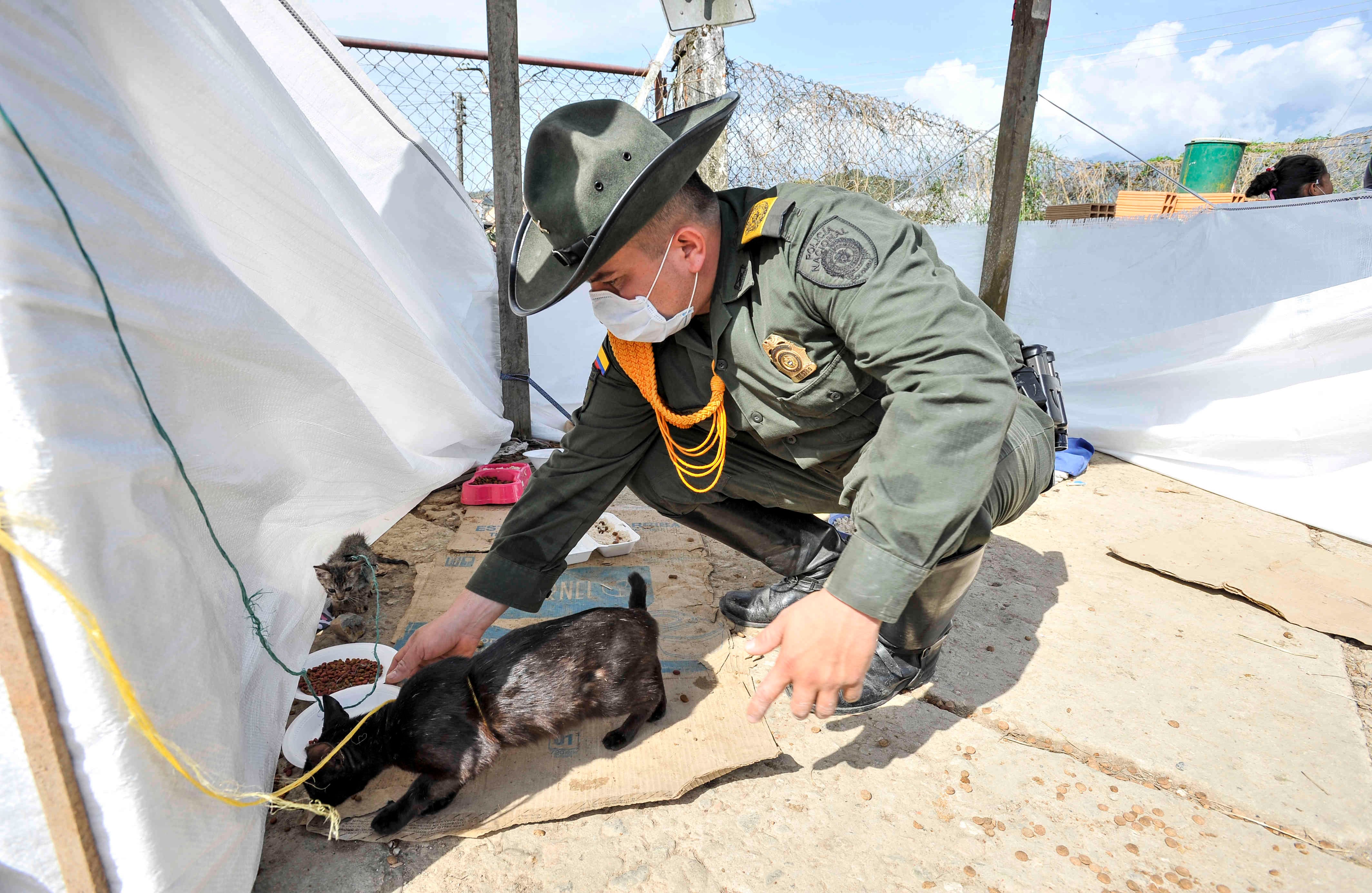 Un policía de carabineros asiste a un gato el miércoles 5 de abril de 2017, en un refugio provisional en Mocoa, Putumayo, luego de que una avalancha de lodo y piedra —la noche del 31 de marzo— provocada por el desbordamiento de los ríos Mocoa, Mulato y Sangoyaco, matara a por lo menos 301 personas y dejara un número indeterminado de desaparecidos. Foto: Carlos Julio Martínez / Enviado Especial de SEMANA