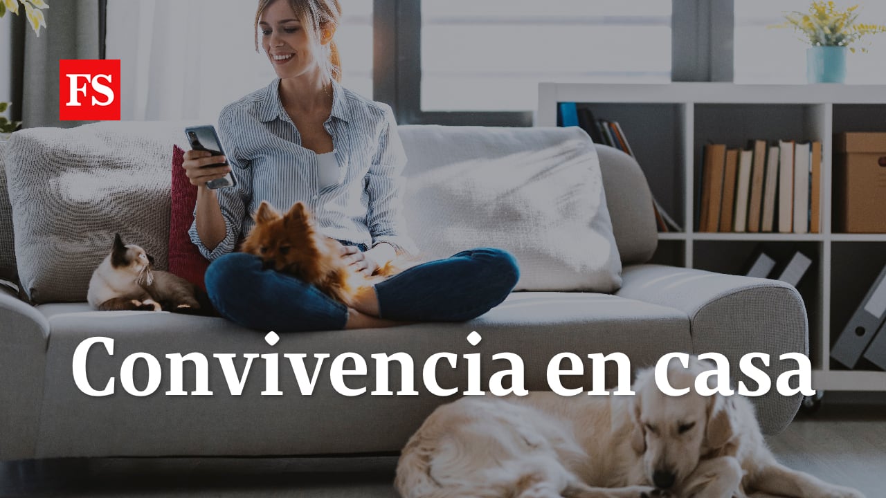 Webpet: La convivencia: mitos y realidades de tener mascotas en espacios