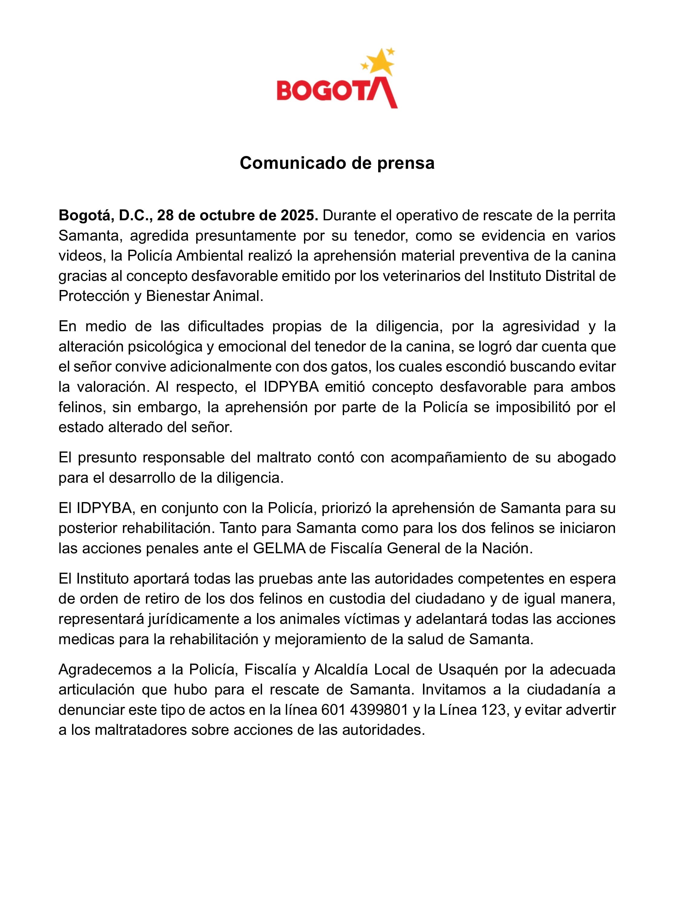 Samantha, la perrita que fue rescatada de las manos de su agresor en el sector de Cedritos.
