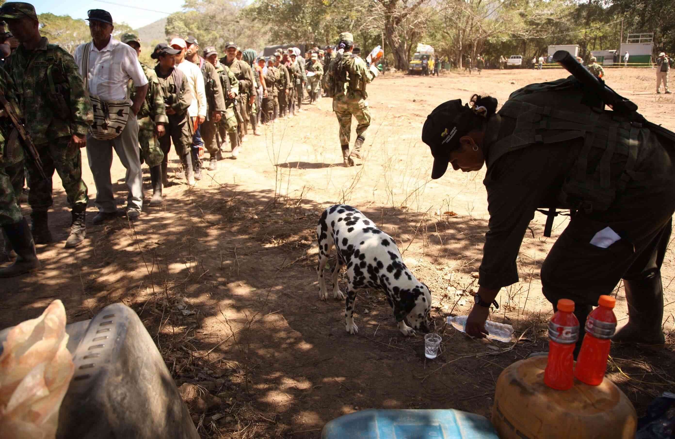 Cerca de 300 combatientes de las FARC se alistan para levantar el campamento en la zona veredal de La Guajira. Foto: León Darío Peláez