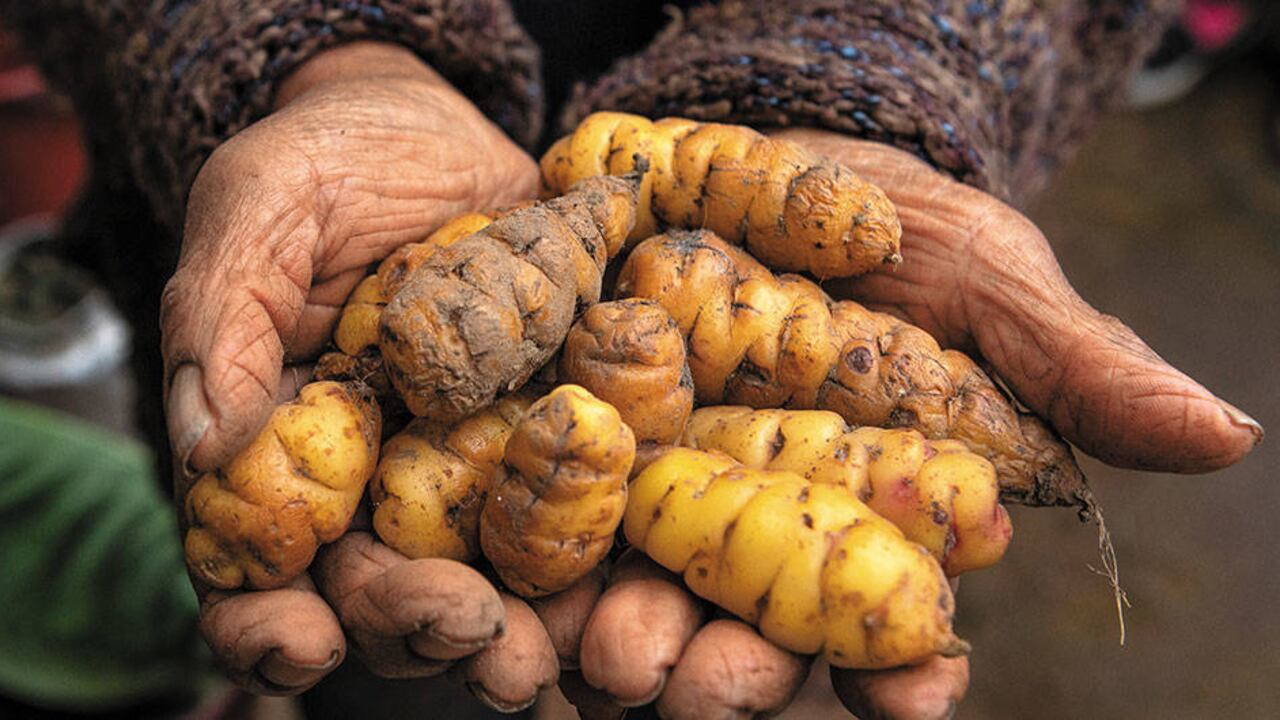 El fenómeno puede poner en riesgo la seguridad alimentaria del país.