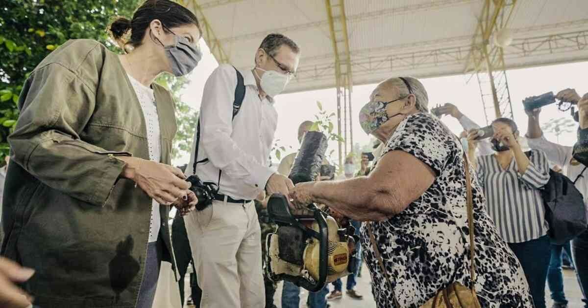 Pacto de entrega de motosierras por árboles en Meta