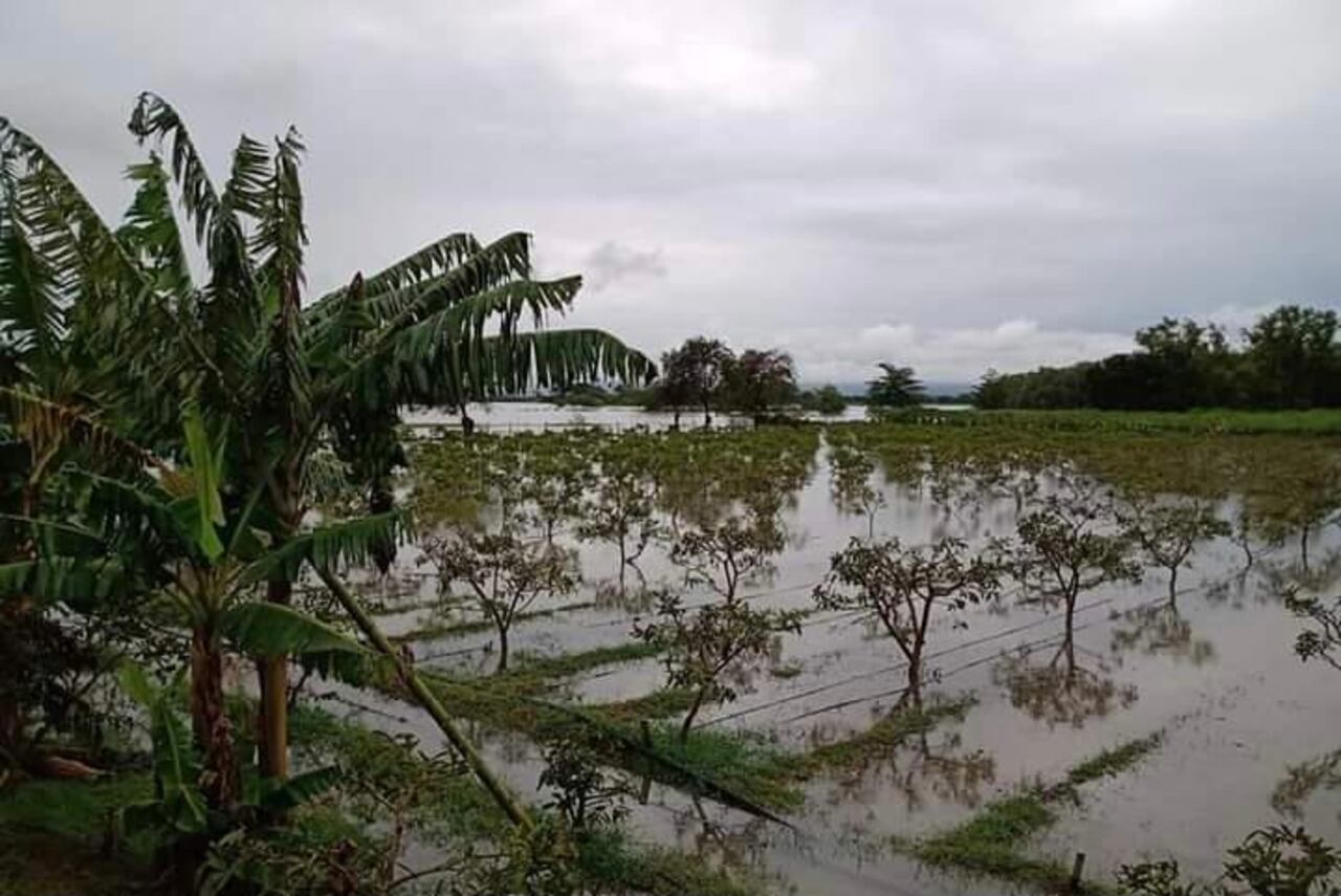 Afectaciones por lluvias en el Valle
