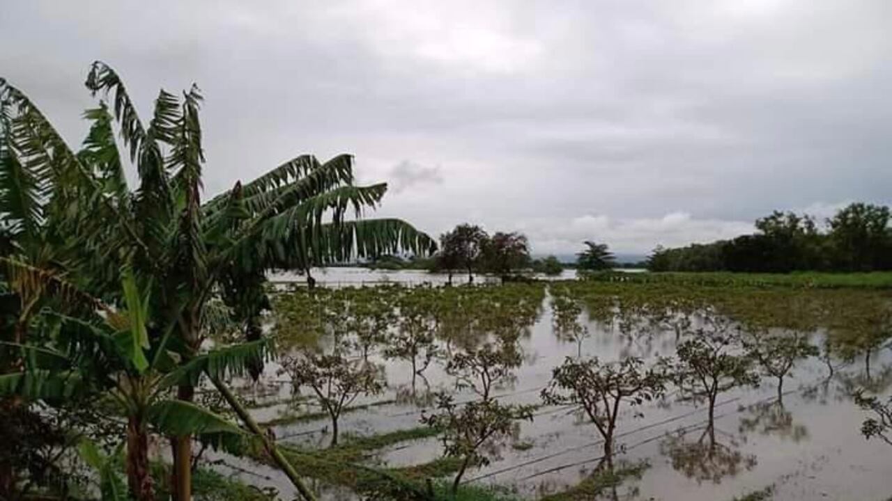 Afectaciones por lluvias en el Valle